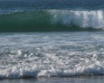 december 2015 december mini-retreat, detox yoga, lessen