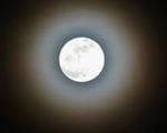 volle maan