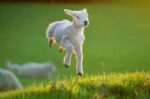 Permalink naar Maart- Spring is in the air yoga maart