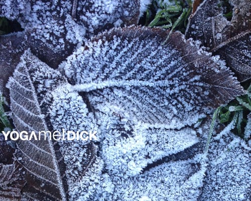 december