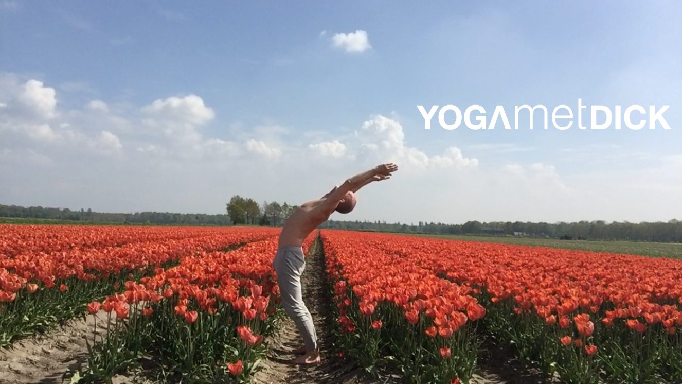 Mei- yoga, kunstroute