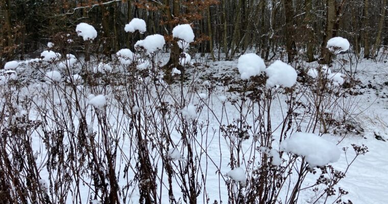 Februarie- Ab feb yoga!