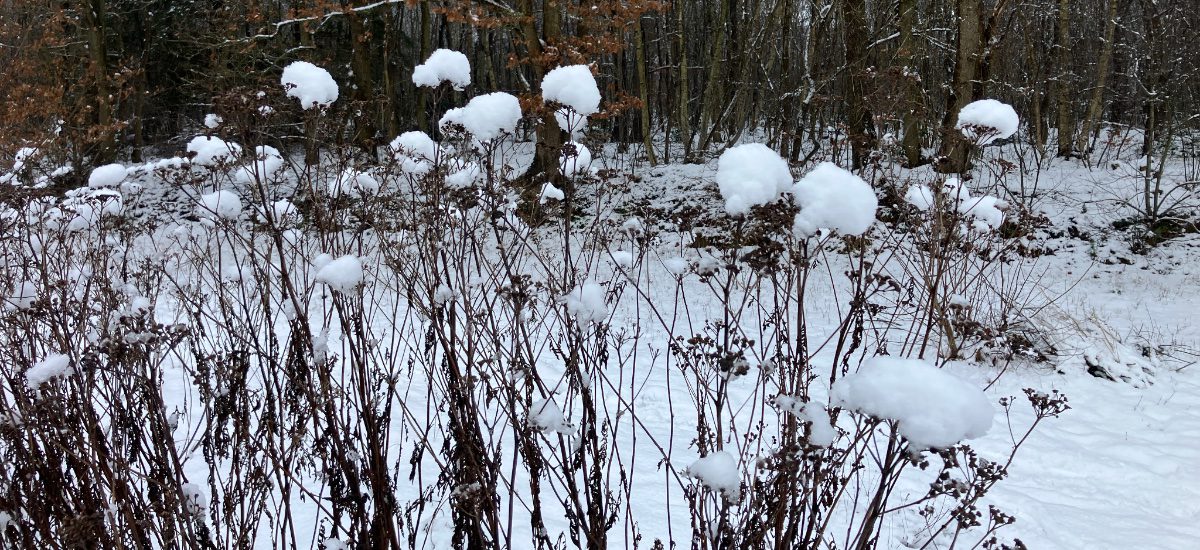 Februarie- Ab feb yoga!